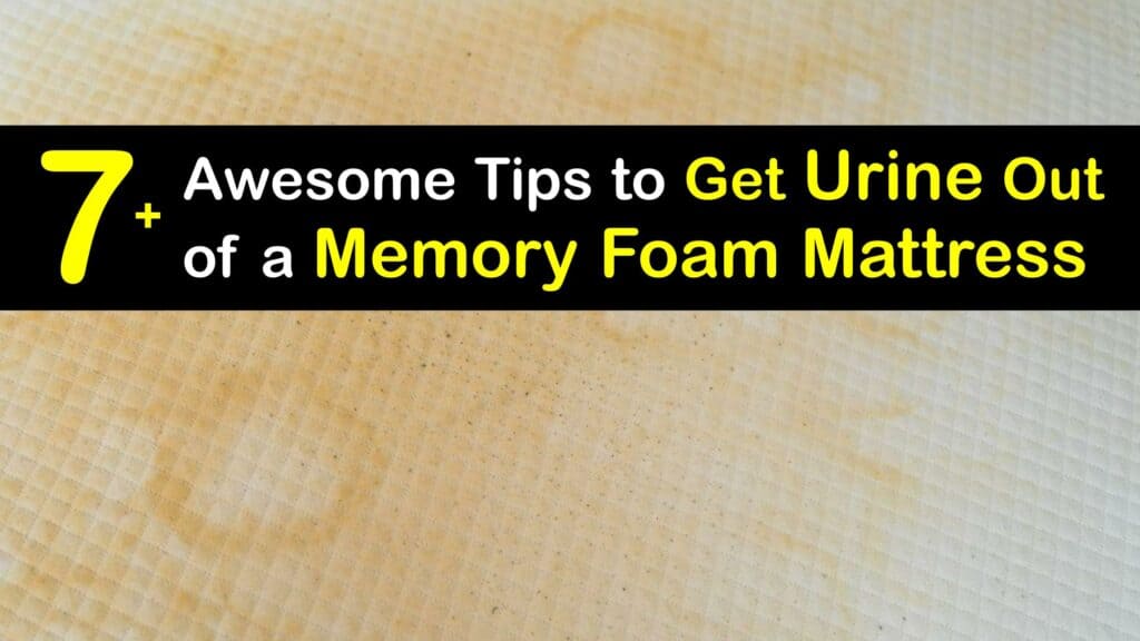 cleaning urine from a memory foam mattress