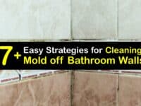 How to Remove Mold From a Bathroom Wall titleimg1