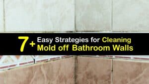 How to Remove Mold From a Bathroom Wall titleimg1