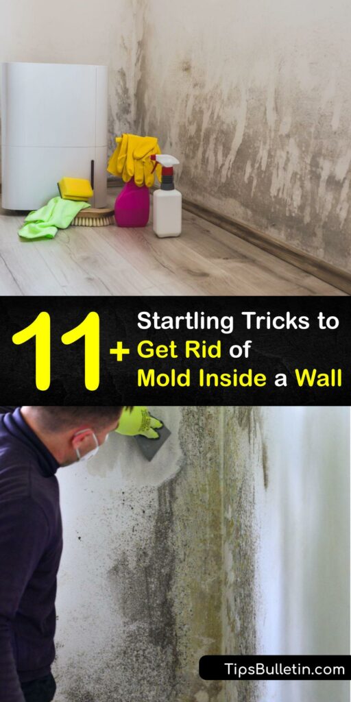 Where there’s water damage, there’s mold growth. Mold spores wreak havoc inside walls, causing structural concerns and even health problems. Discover how to clean mold effectively and restore your painted walls and bathroom ceilings to their former glory. #clean #mold #inside #walls