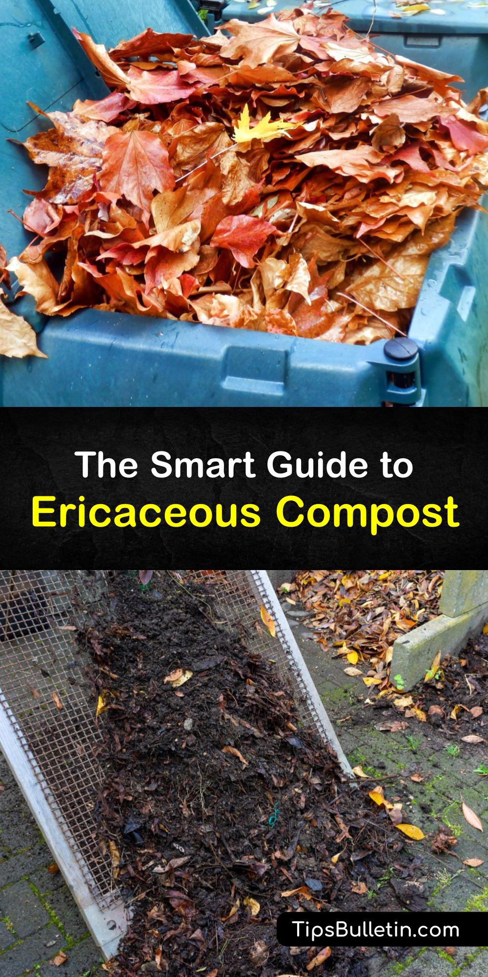 Ericaceous Compost Composting the Right Way