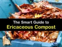 What is Ericaceous Compost titleimg1