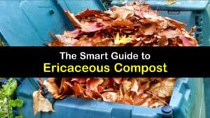 What is Ericaceous Compost titleimg1