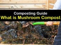 What is Mushroom Compost titleimg1