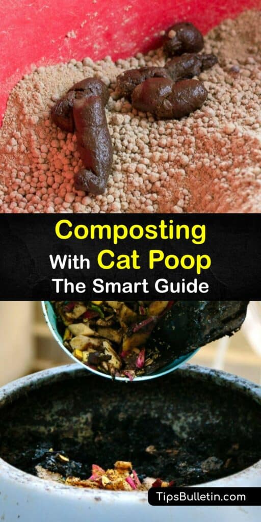 Learn whether it’s safe to compost cat poop and kitty litter in the compost bin. It’s possible to compost cat litter, but pet waste like cat and dog poop is unsafe for the composting process. #compost #cat #poop
