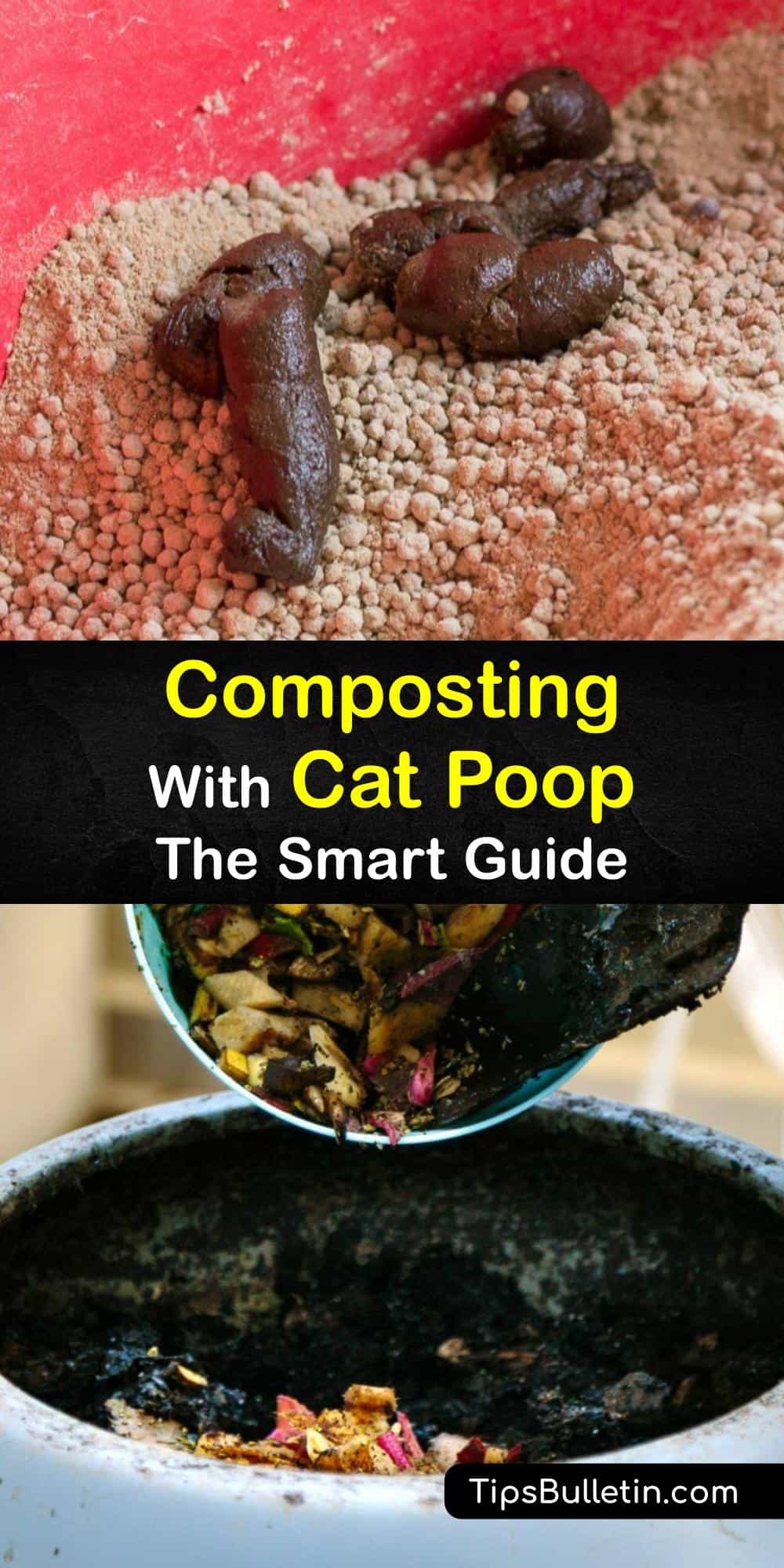 Cat Poop and Composting Are Cat Feces Good Fertilizer