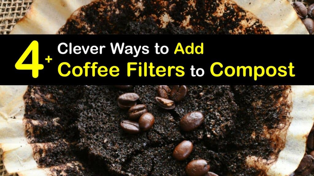 Can You Compost Coffee Filters titleimg1