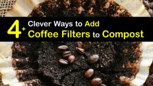 Can You Compost Coffee Filters titleimg1