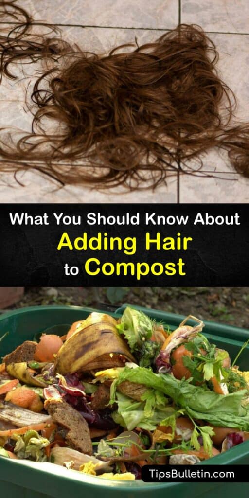 We typically think of adding food scraps and organic waste from the garden to the compost bin, yet composting hair works well, too. Explore techniques for including pet hair and nail clippings along with food waste in your composter for a more nutrient-rich fertilizer. #compost #hair