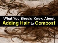 Can You Compost Hair titleimg1