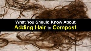 Can You Compost Hair titleimg1