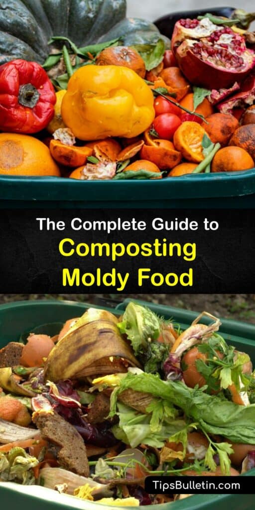 Food waste and yard waste are common compost ingredients, but did you know that moldy bread and mold spores can be part of the compost cycle, too? Learn how to compost right with our helpful tutorials on how to recycle every last food scrap. #composting #moldy #food
