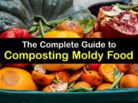 Can You Compost Moldy Food titleimg1