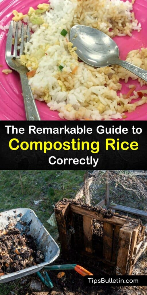 Both cooked and uncooked rice are ideal food scraps to add to your hot compost pile or compost bin. Combine rice with other green materials like food scraps and brown materials like dry grass clippings to make organic fertilizer and reduce food waste. #compost #rice