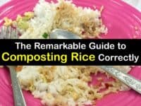 Can You Compost Rice titleimg1