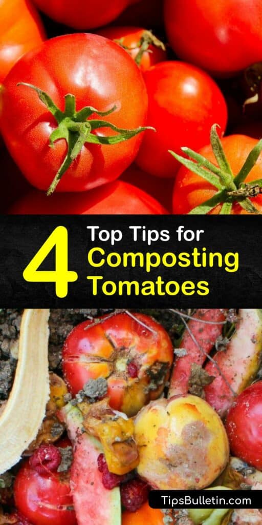 Growing tomatoes creates some extra volume for your organic recycling system. Learn how to add tomato plants to your compost bin or pile with safe and reliable guidance. Turn your compost pile into a home garden hero today. #composting #tomato #plants