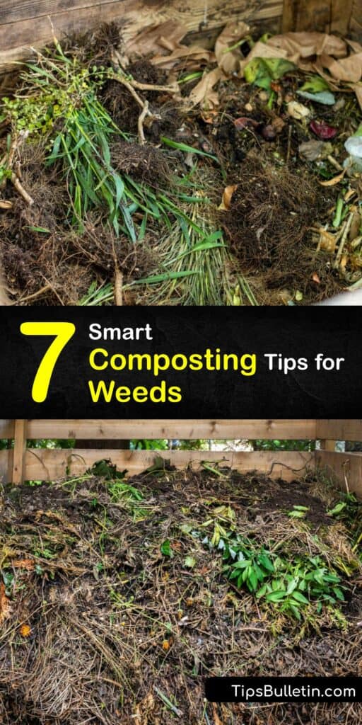 Discover how to compost annual and perennial weeds in the compost bin without spreading weed seeds throughout the lawn and garden. Composting weeds is a great way to turn organic matter into mulch and soil amendment, as long you avoid treated weeds. #compost #weeds