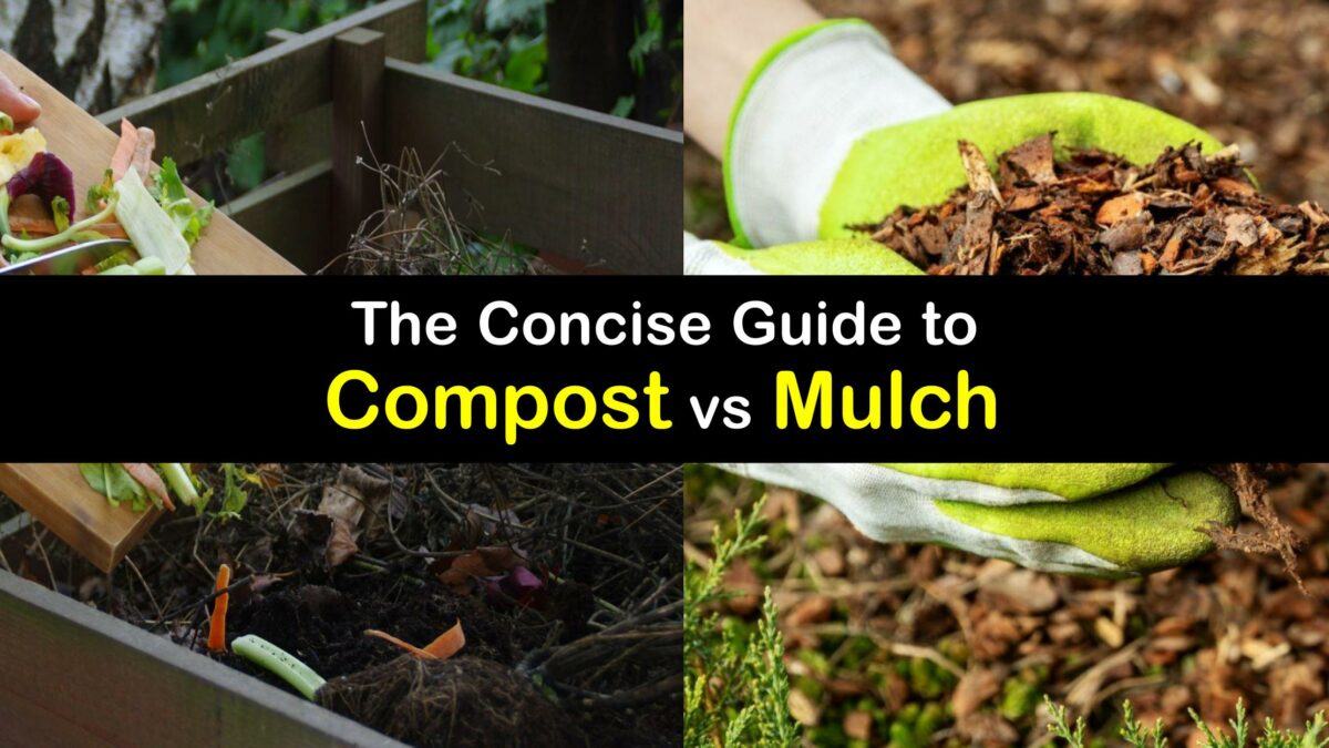Mulching and Composting How are They Different