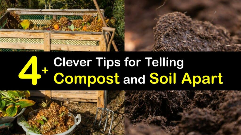 Compost vs Soil titleimg1