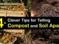 Compost vs Soil titleimg1
