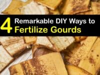 Homemade Fertilizer for Gourds titleimg1