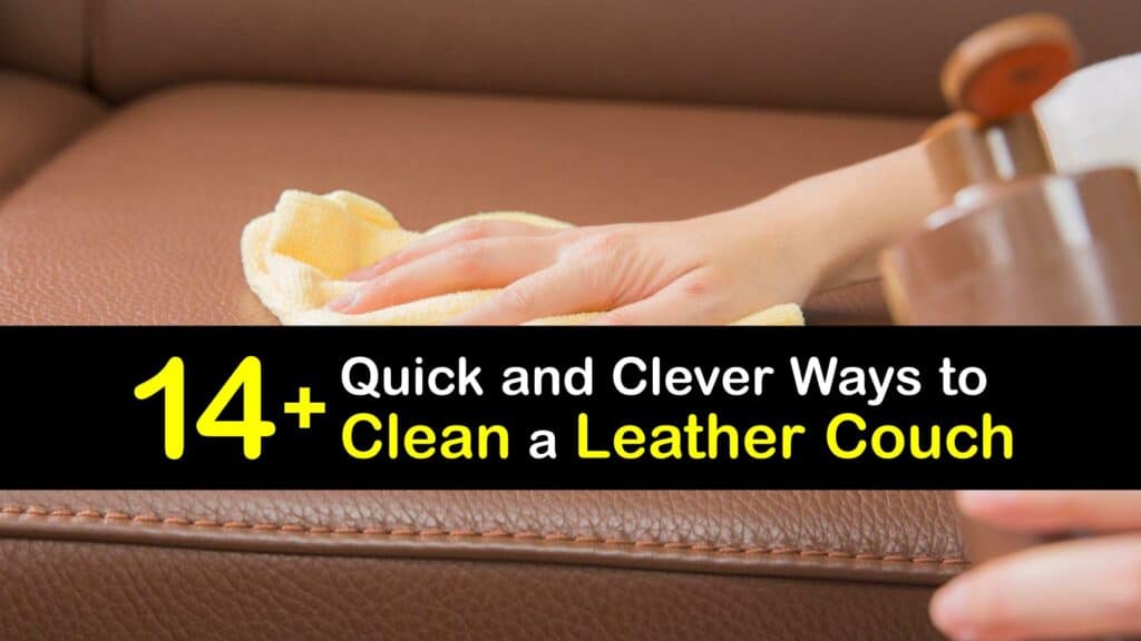 How to Clean a Leather Couch titleimg1