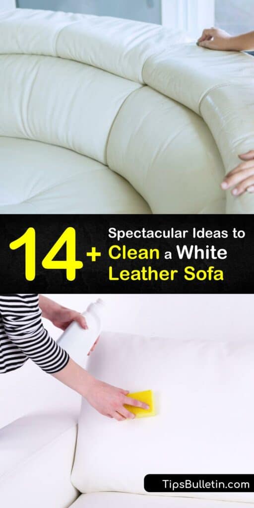 A clean white leather sofa looks good in any room, but a stain looks ugly. Discover tips for leather sofa cleaning so your couch looks its best. Clean leather furniture with dish soap, peroxide, or toothpaste, and finish with olive oil leather conditioner. #clean #leather #sofa #white