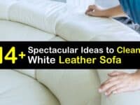 How to Clean a White Leather Sofa titleimg1