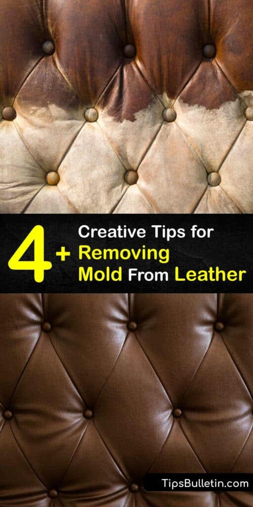 Use simple tips for cleaning mold off your leather furniture or leather bag. Mold is harmful to your health and degrades leather. Use a DIY leather cleaner, rubbing alcohol, or mild soap to clean leather and leave your leather sofa or leather couch mold-free. #clean #mold #leather #furniture