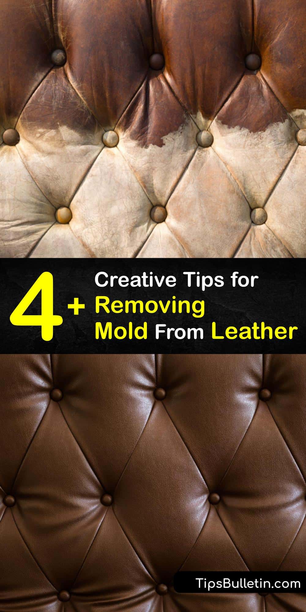 Mildew Removal Tricks for Cleaning Mold off Leather Furniture