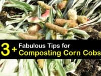 How to Compost Corn Cobs titleimg1