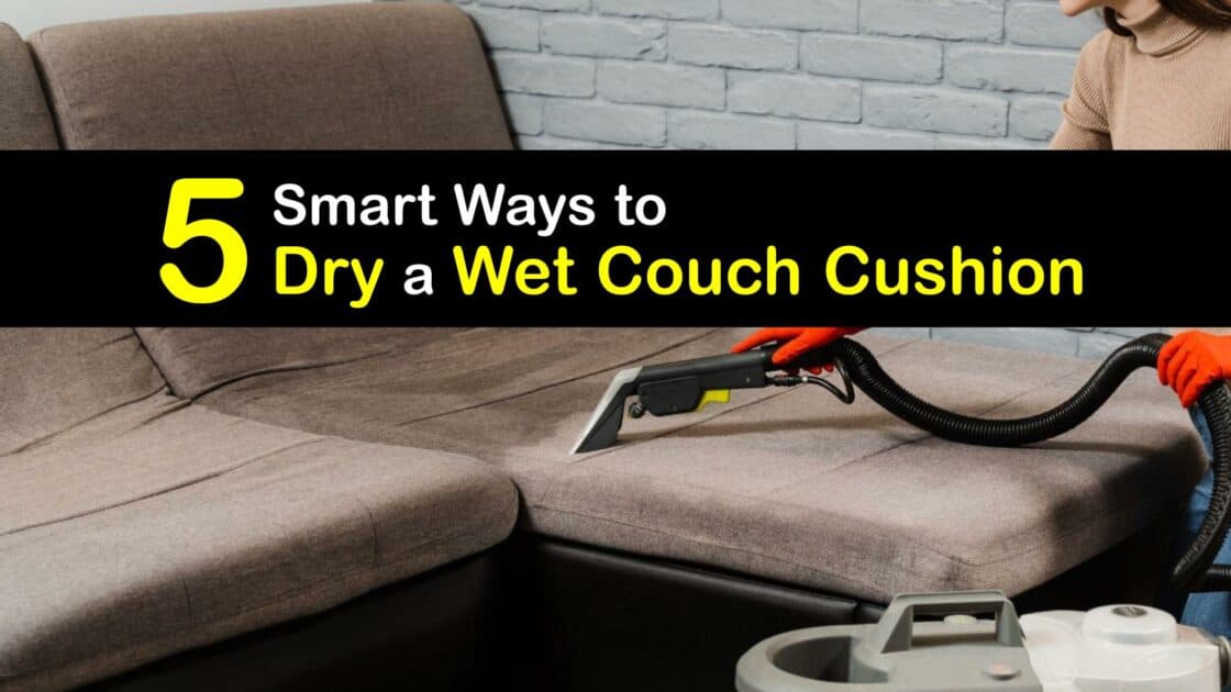 Dry clean discount sofa cushions