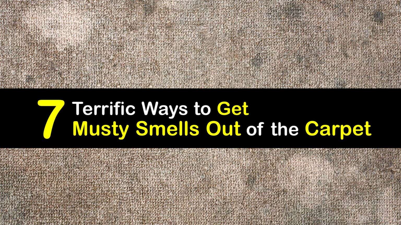 MustySmelling Carpeting Remove Musty Odors From Carpet