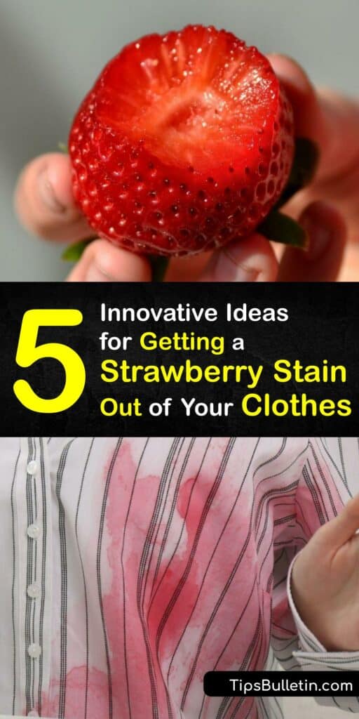 Strawberry juice stains, red wine, or a berry stain can ruin clothes if not addressed quickly. Remove berry stain marks from clothing with a white vinegar and lemon juice stain remover, dish soap, baking soda, and more. #remove #strawberries #out #clothes