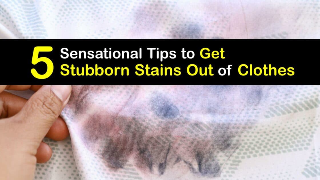Stain Removal Guide Tricks to Get Stubborn Stains Out of Clothes