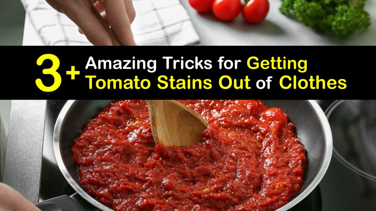 Eliminate Tomato Stains Tricks to Remove Tomato From Clothes