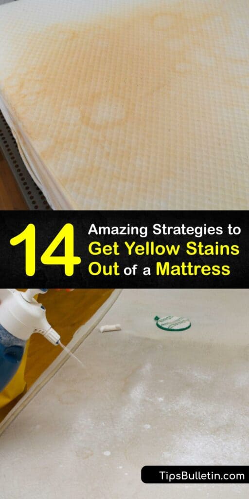 Like carpet cleaning and upholstery cleaning, giving your memory foam or pillow top mattress a deep clean is essential. Explore the best mattress cleaning hacks to remove a sweat stain or urine stain. Erase yellow marks with baking soda, dish soap, vinegar, and more. #yellow #stains #out #mattress