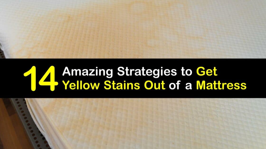 Yellow Stained Mattress Getting Yellow Stains Out of a Mattress