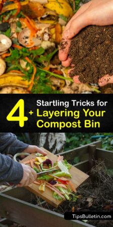 Smart Compost Layering - What Goes in the Compost Pile