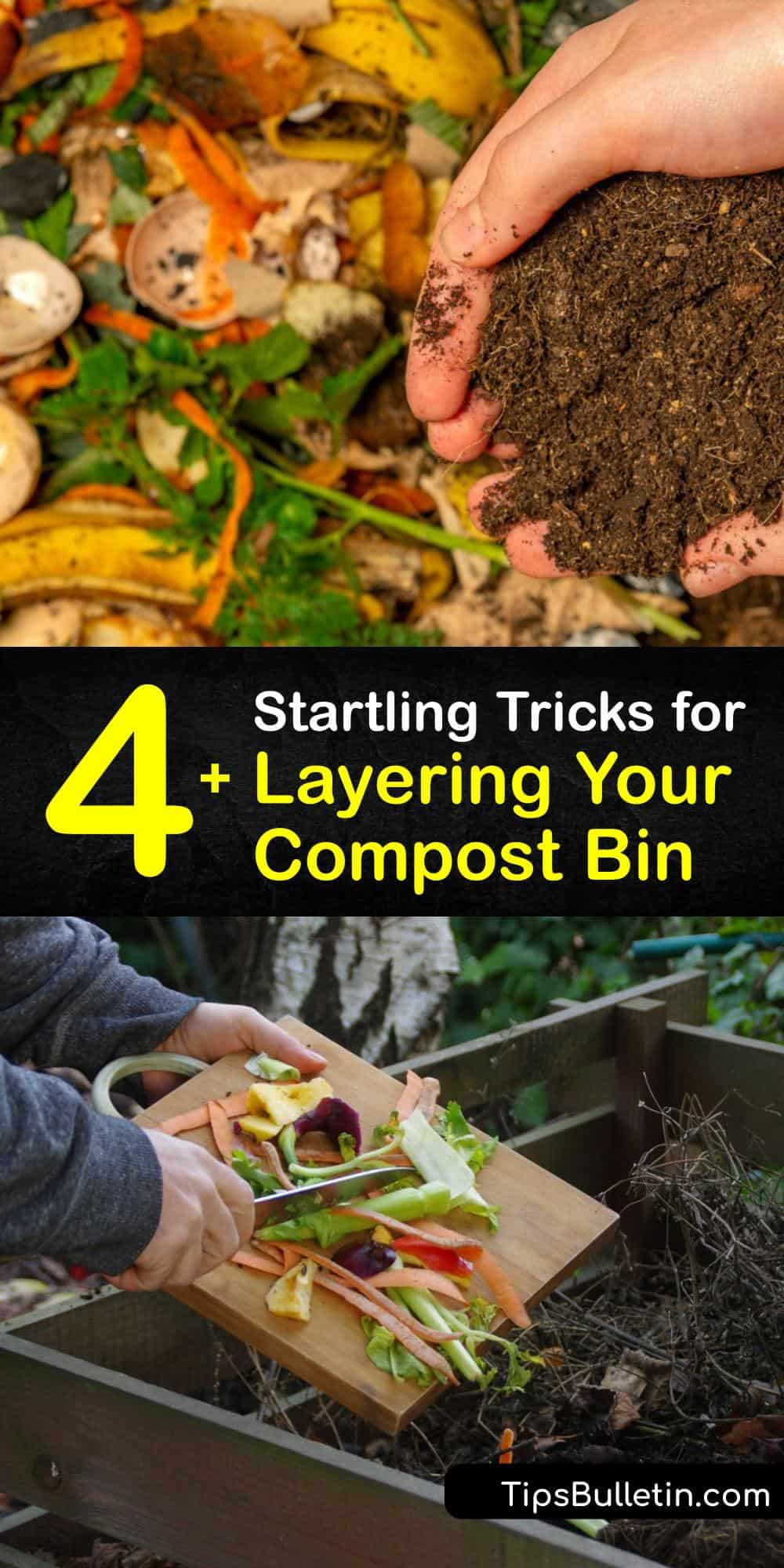 Smart Compost Layering What Goes in the Compost Pile