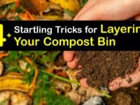 How to Layer a Compost Bin titleimg1