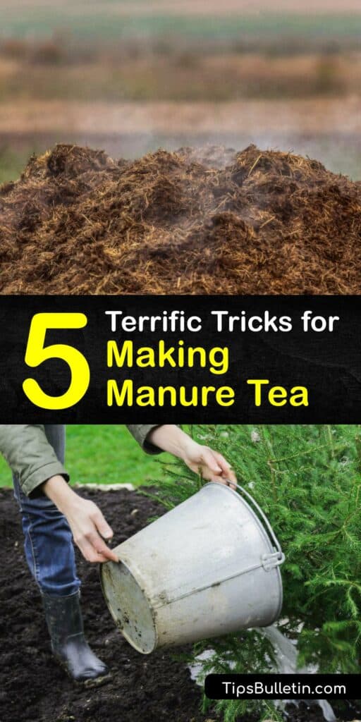 Discover how to give your plants nutrients and beneficial microbes with rabbit manure or chicken manure fertilizer tea. Use an aerated compost tea brewer or keep it simple with a manure tea bag and craft rich liquid fertilizer. #make #manure #tea