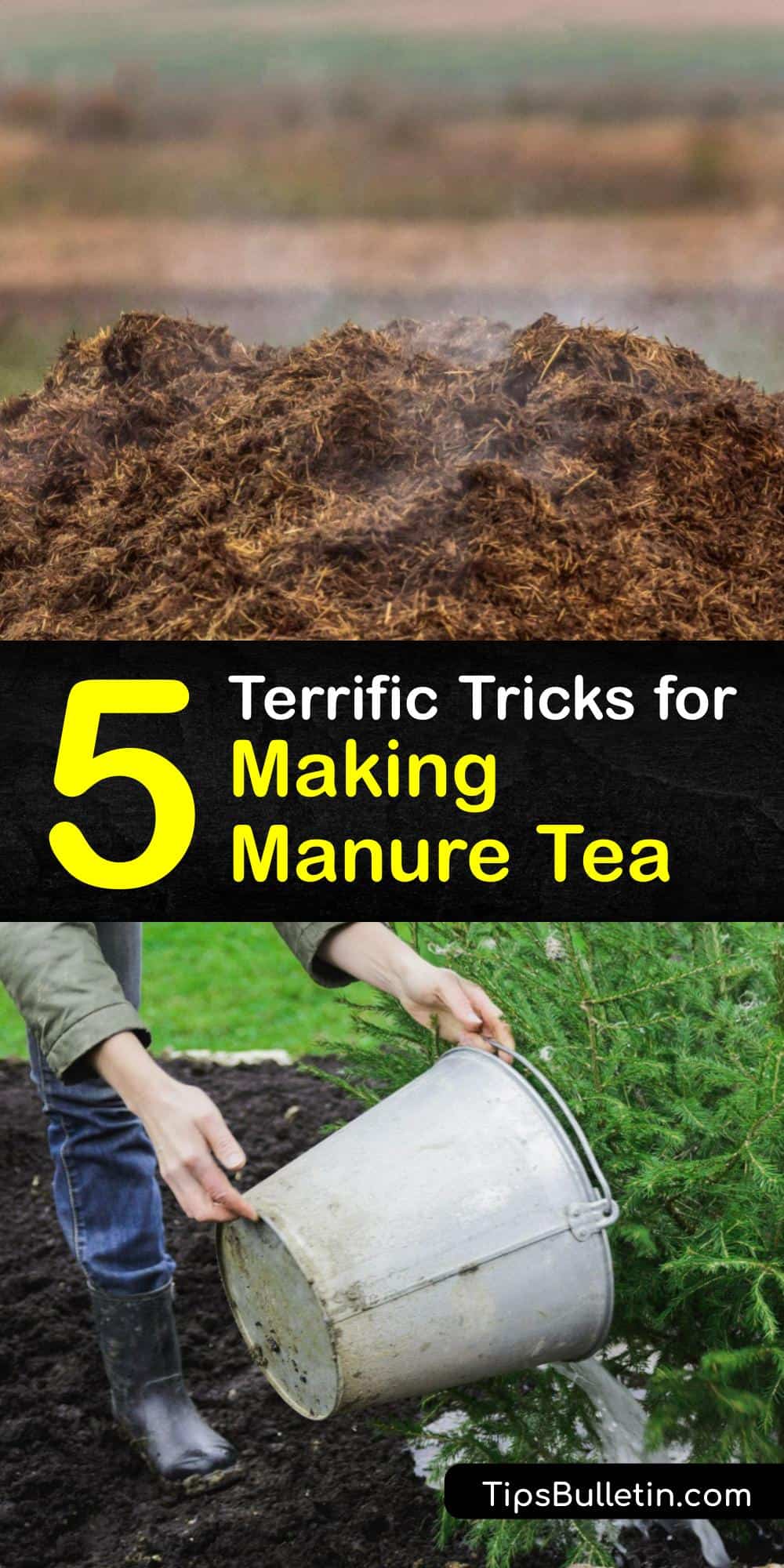 DIY Manure Tea Make Your Own Organic Fertilizer