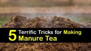 How to Make Manure Tea titleimg1