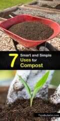 Using Compost in the Garden - Why Your Plants Love Compost
