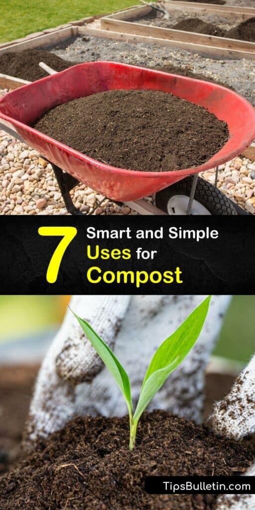 Processing waste in your compost bin converts organic material like grass clippings in unfinished compost into a valuable product. Try adding compost to feed your potted plant, improve garden soil structure, or make handy compost tea foliar spray. #using #compost