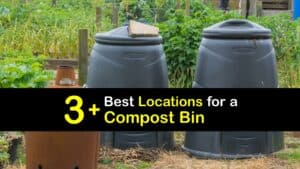 Where to Place a Compost Bin titleimg1