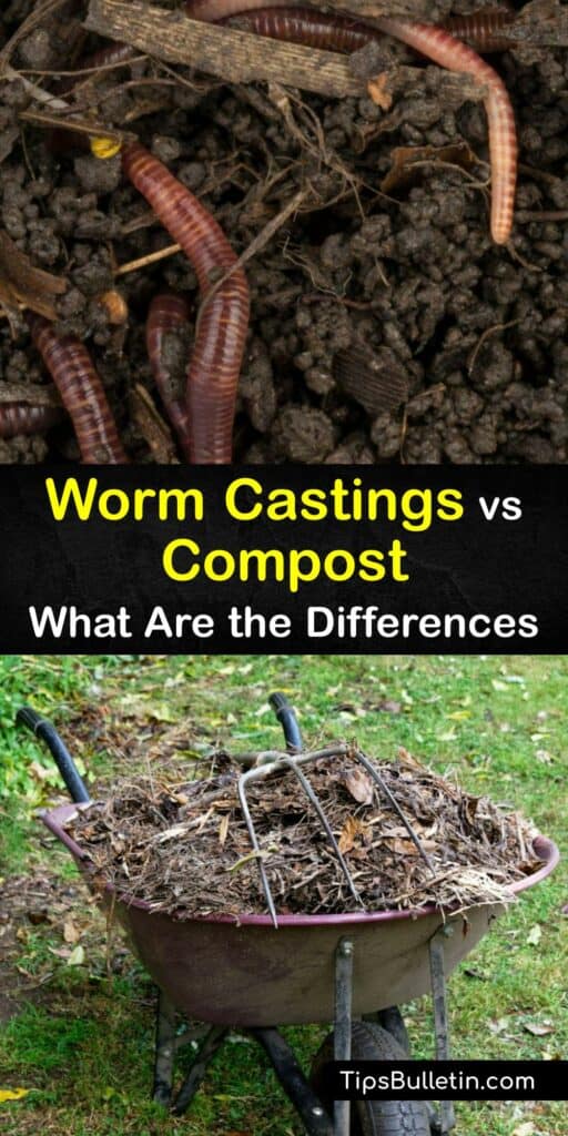 Discover the difference between earthworm casting from a compost worm farm and traditional compost. Turn your food scraps and waste organic matter into useful soil amendments like compost or worm tea by setting up a compost pile or worm farm in your backyard. #worm #castings #compost