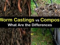 Worm Castings vs Compost titleimg1