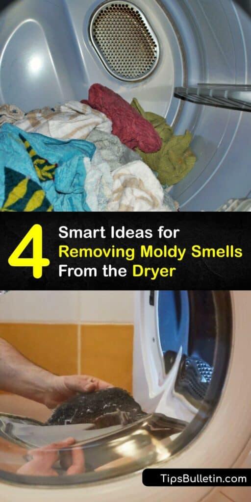 Exposure to wet clothes and fabric softener mean your dryer and washing machine are predisposed to developing a mold smell. Beat dryer odor by cleaning your lint trap, checking your dryer vent, or destroying mold in the dryer drum with white vinegar or bleach. #dryer #smells #moldy